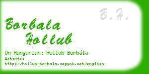 borbala hollub business card
